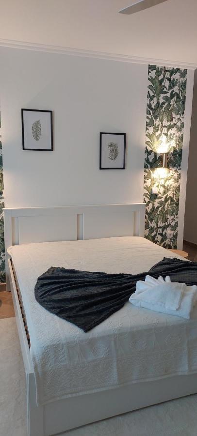 Moinhos A Sombra Villa Pedrogao  Ngoại thất bức ảnh